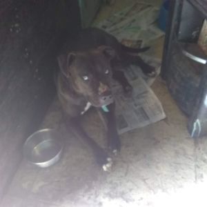 Meet your Posher, Larry